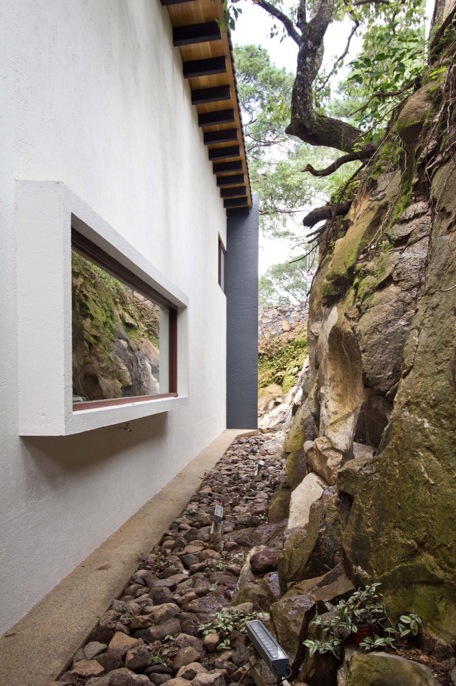 The Forest House / Espacio EMA