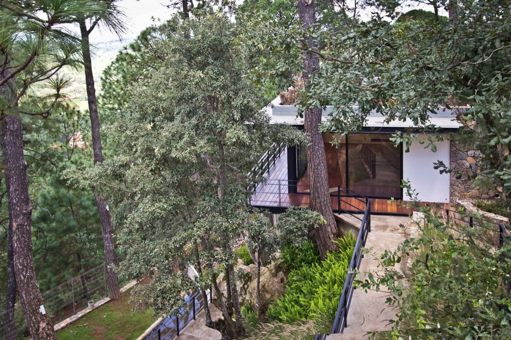 The Forest Pavilion / Espacio EMA
