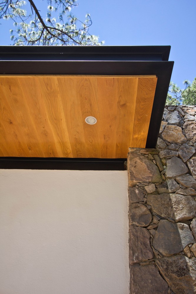 The Forest Pavilion / Espacio EMA