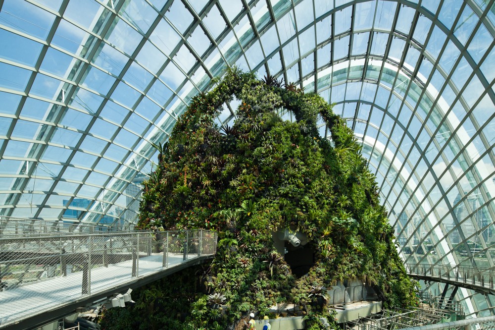 Cooled Conservatories at Gardens by the Bay / Wilkinson Eyre Architects