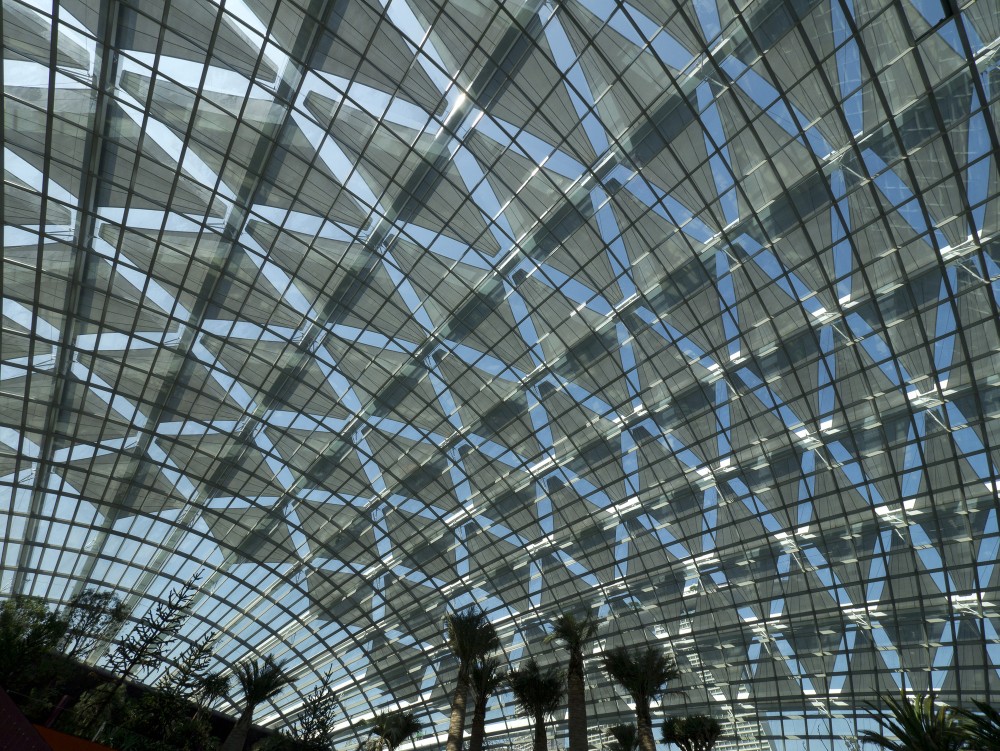 Cooled Conservatories at Gardens by the Bay / Wilkinson Eyre Architects