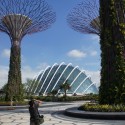 Cooled Conservatories at Gardens by the Bay / Wilkinson Eyre Architects Courtesy of Wilkinson Eyre Architects