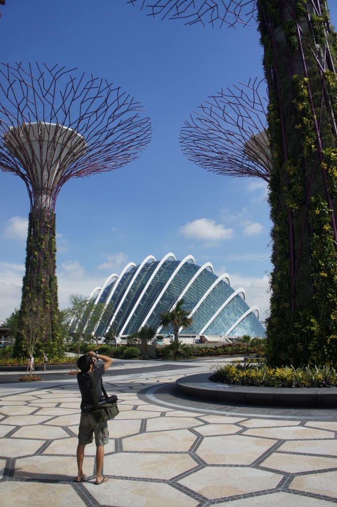 Cooled Conservatories at Gardens by the Bay / Wilkinson Eyre Architects