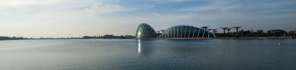 Cooled Conservatories at Gardens by the Bay / Wilkinson Eyre Architects