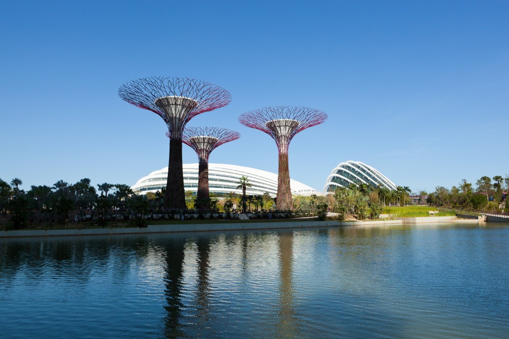 Cooled Conservatories at Gardens by the Bay / Wilkinson Eyre Architects