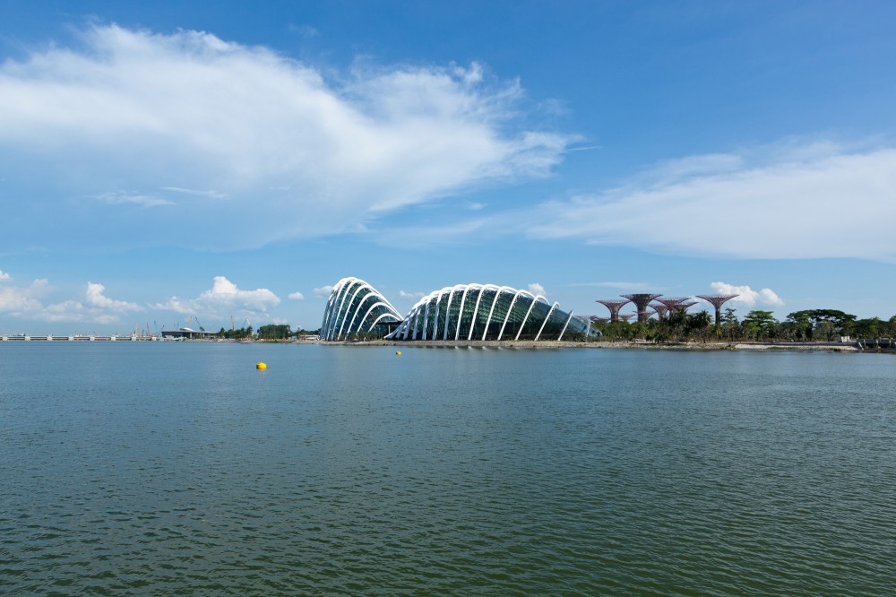 Cooled Conservatories at Gardens by the Bay / Wilkinson Eyre Architects