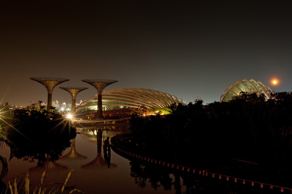 Cooled Conservatories at Gardens by the Bay / Wilkinson Eyre Architects