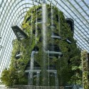 Cooled Conservatories at Gardens by the Bay / Wilkinson Eyre Architects Courtesy of Wilkinson Eyre Architects
