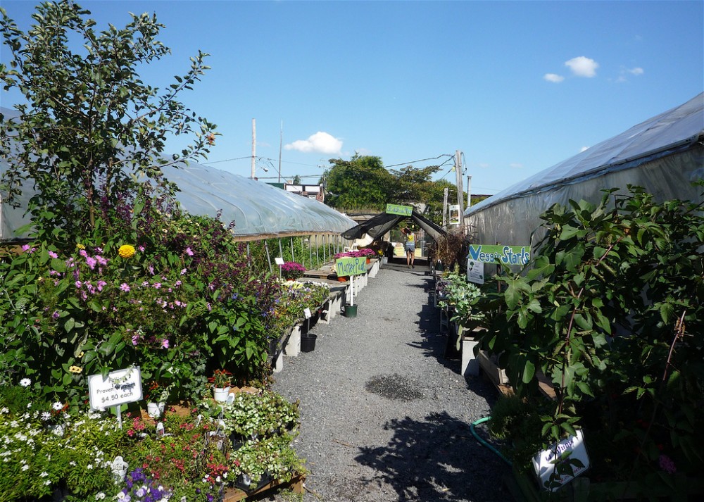 What Cities Can Do with Vacant Lots