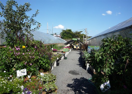 Greengrow Farm IV; © David Barrie