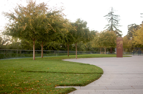 OLIN Collaborates with HNTB to Master Plan UC Berkeley’s California Memorial Stadium
