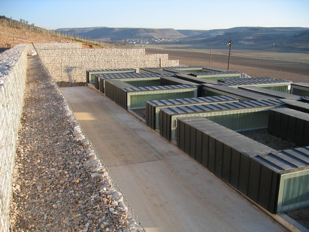 Pago de Carraovejas Winery / Estudio Amas4arquitectura