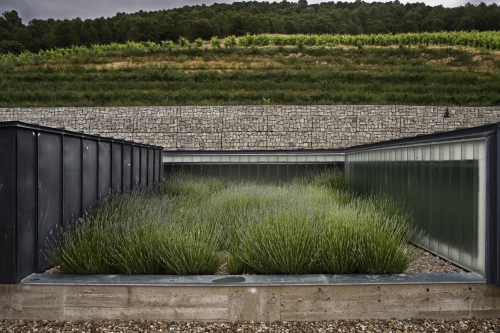 Pago de Carraovejas Winery / Estudio Amas4arquitectura