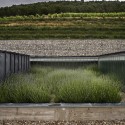 Bodega Pago de Carraovejas / Estudio Amas4arquitectura © José María Díez Laplaza