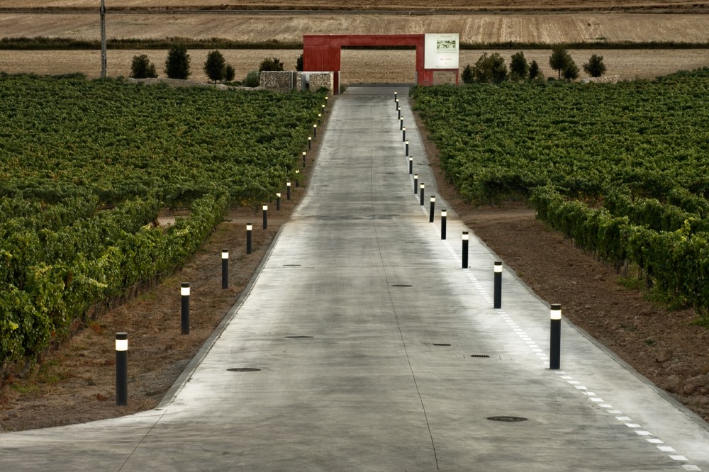 Pago de Carraovejas Winery / Estudio Amas4arquitectura