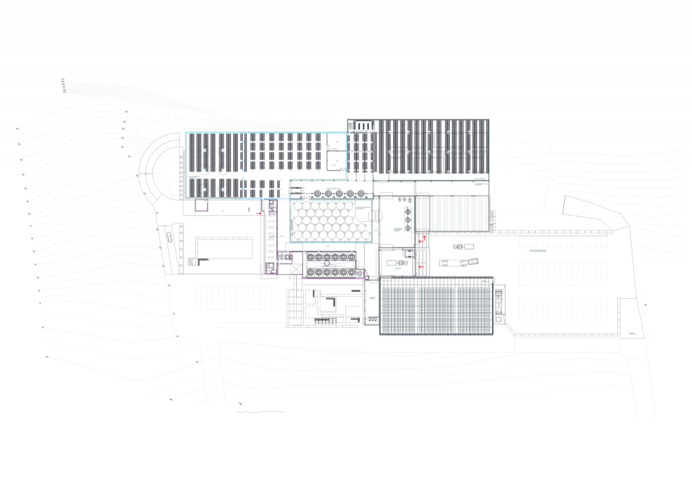Pago de Carraovejas Winery / Estudio Amas4arquitectura