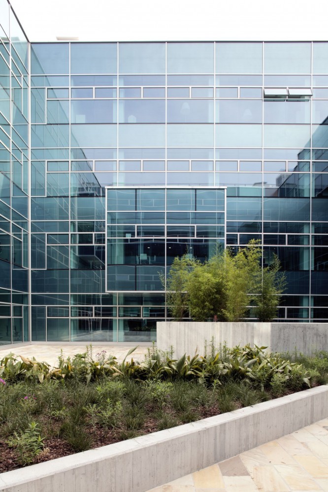 Microsoft Milan / Flores Prats