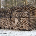 Tree-Trunk Garden House / Piet Hein Eek © Thomas Mayer
