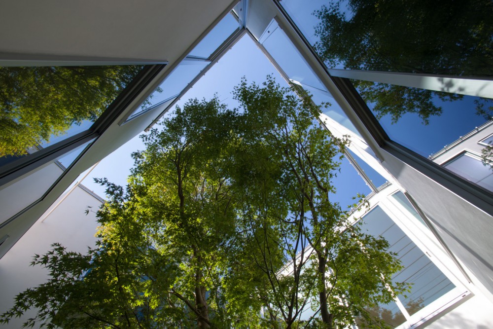 House that Opens up to its Inside / Florian Busch Architects
