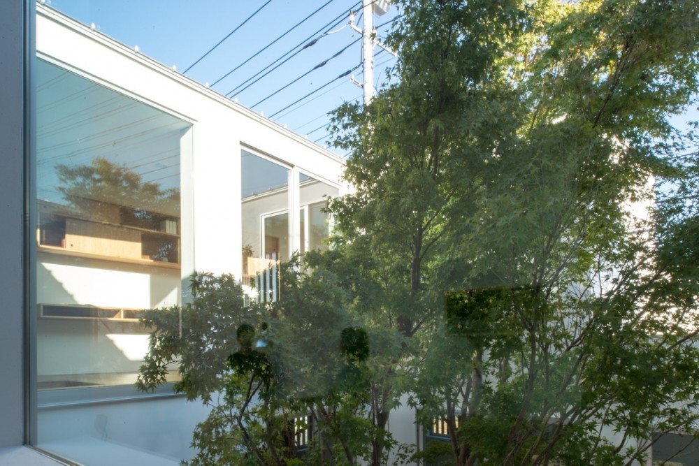 House that Opens up to its Inside / Florian Busch Architects