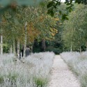 As burial field / Karres en Brands As burial field / Karres en Brands Courtesy of Karres en Brands
