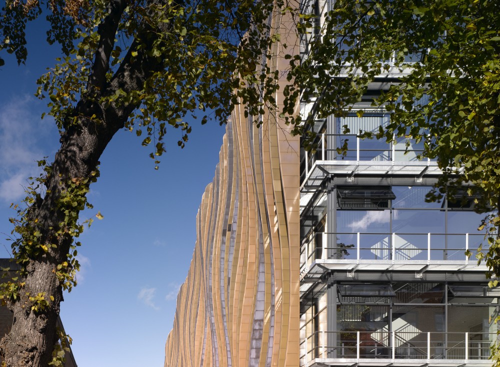 Holland Park School / Aedas
