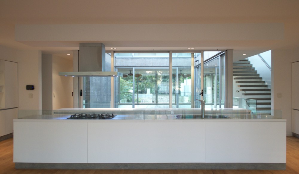 Echeverrría House / Nicolás Pinto da Mota