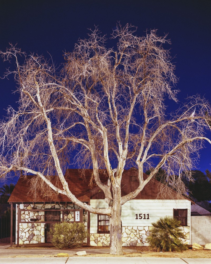 Ethan Pines + NEW THEME Exhibition & Opening Reception