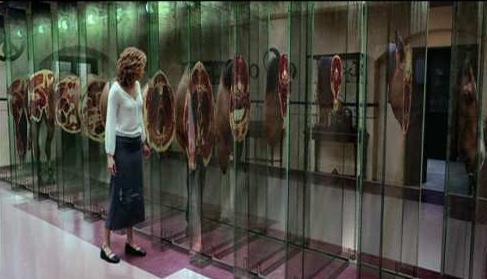 Films & Architecture: “The Cell”