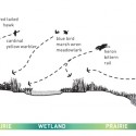Studio Gang Breaks Ground on Ecologically Diverse Urban Mecca Courtesy of Studio Gang Architects