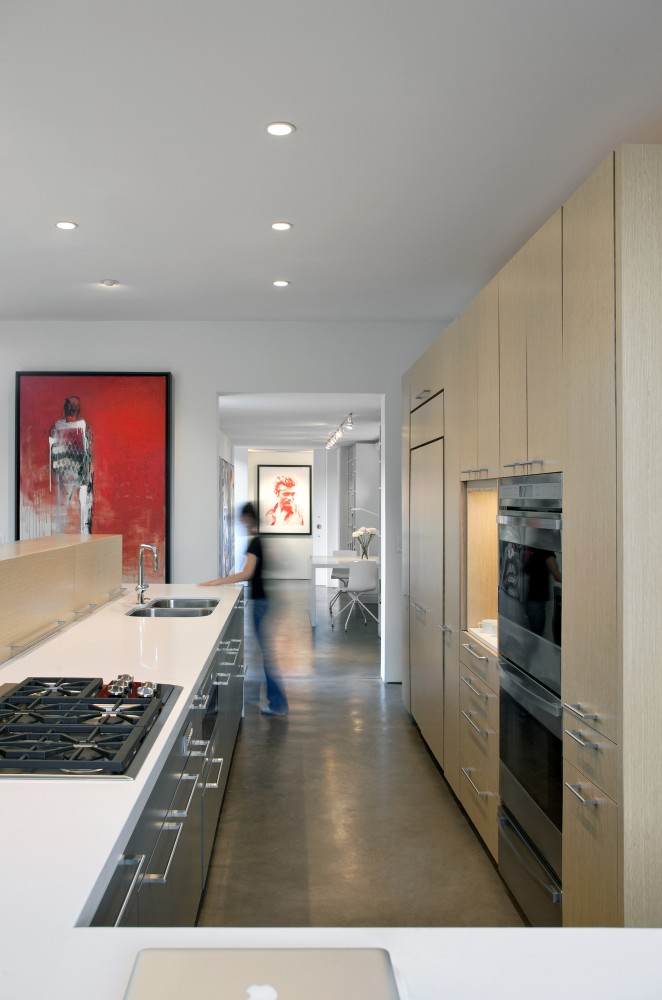 Levin Residence / Ibarra Rosano Design Architects
