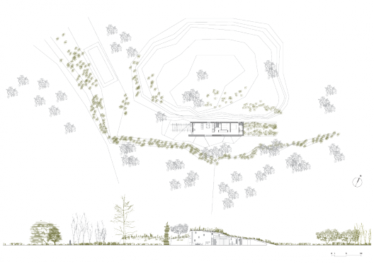 Plan and Section