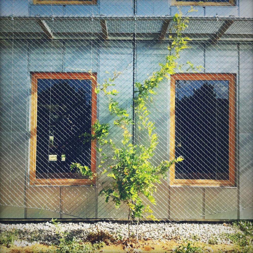 Student Housing (Universitat Politècnica de Catalunya) / H Arquitectes + dataAE