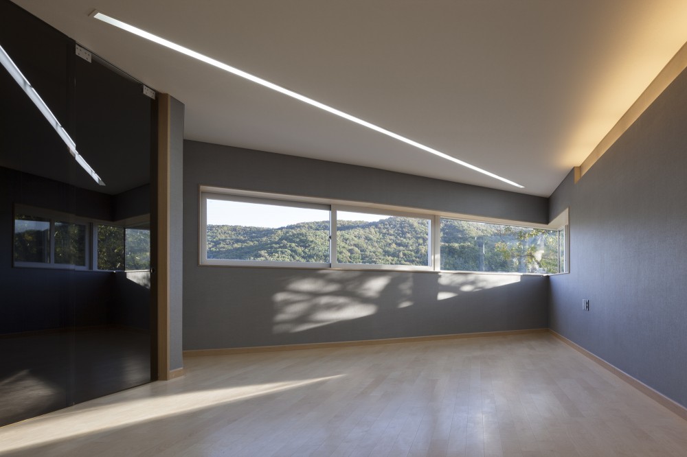 The Curving House / JOHO Architecture