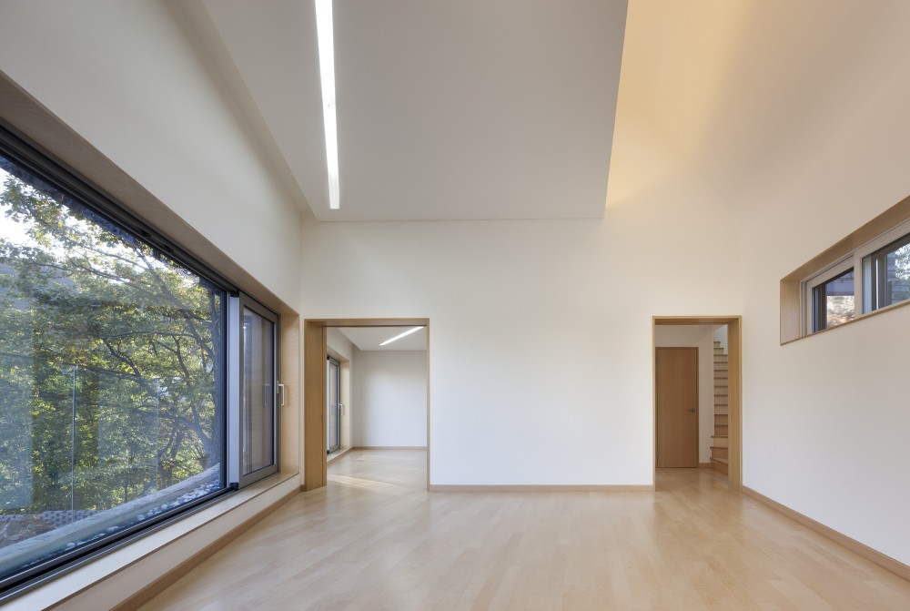 The Curving House / JOHO Architecture