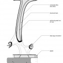 Vertebrae Staircase / Andrew McConnell Single Vertebra Drawing; Courtesy of Andrew McConnell