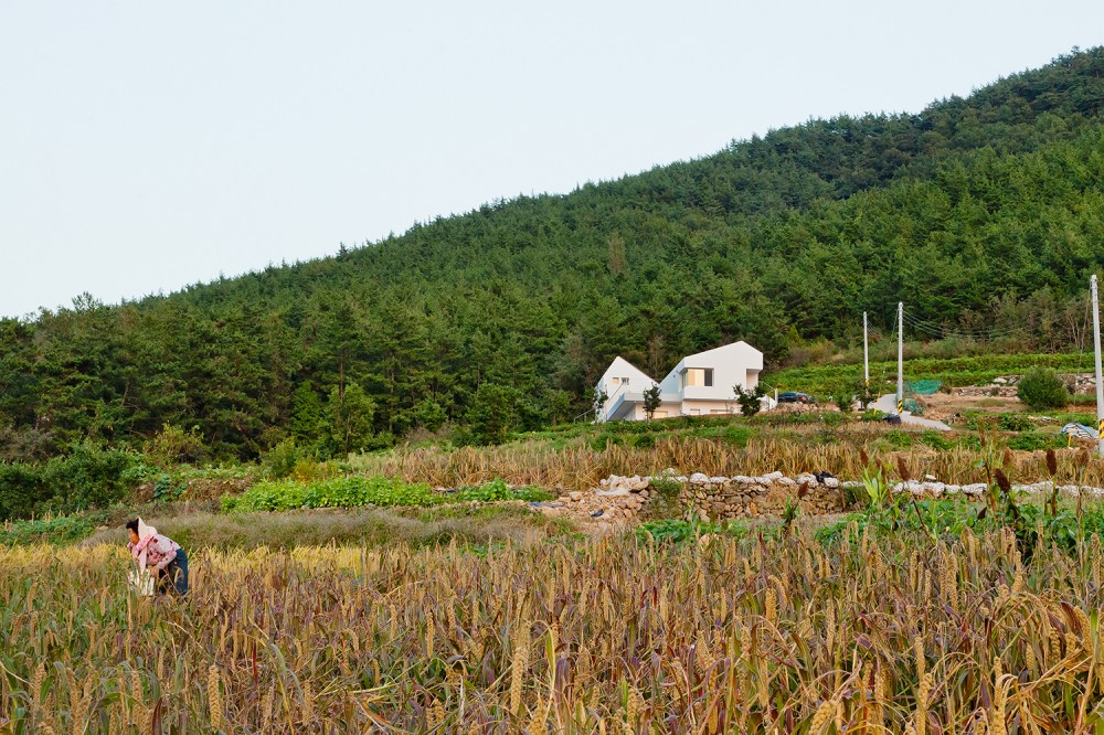 Net Zero Energy House / Lifethings