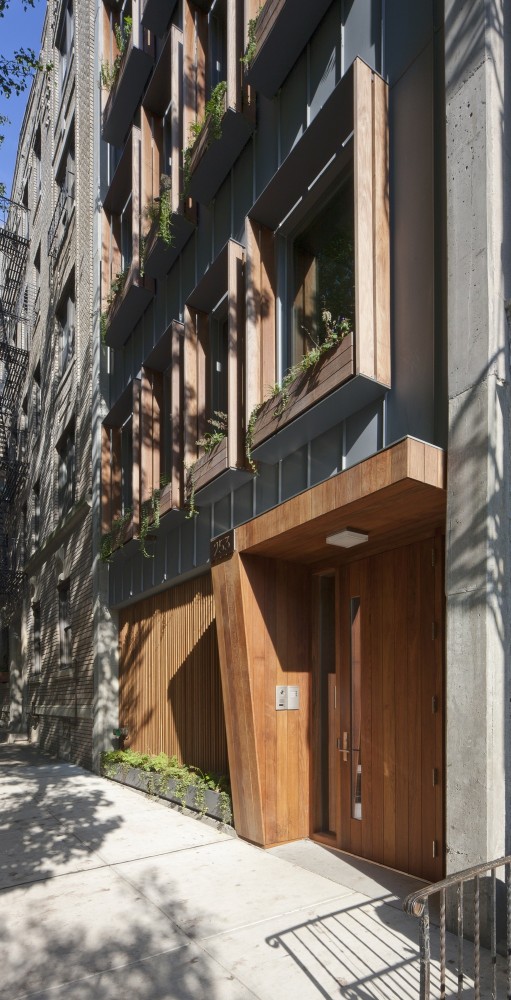253 Pacific Street / James Cleary Architecture