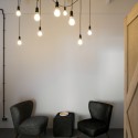 Pride And Glory Office  / Morpho Studio Courtesy of Morpho Studio