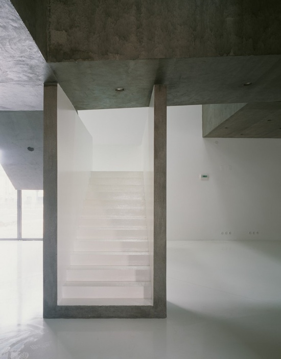 For the Love of Stairs