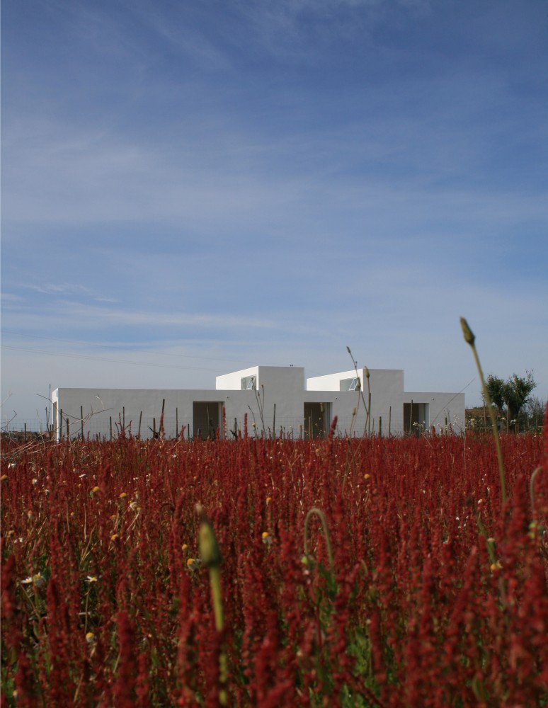 House in Alpiarça / GGLLatelier