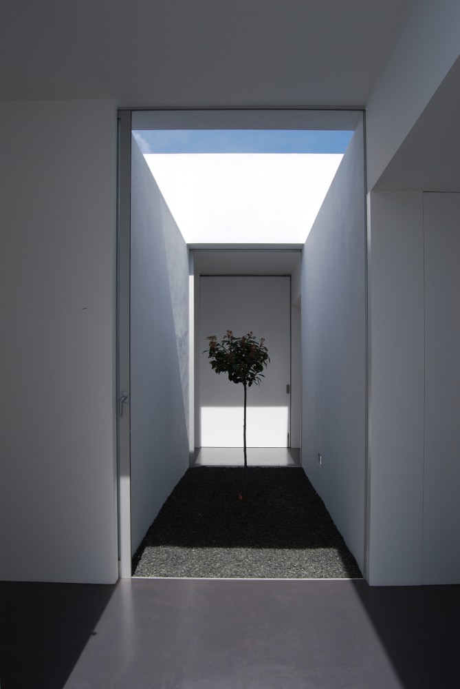 House in Alpiarça / GGLLatelier