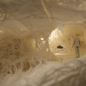 3-D Printing ProtoHouse 1.0 and ProtoHouse 2.0 / Softkill Design AA DRL ProtoHouse 1.0 - SoftKill