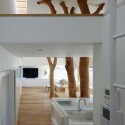 Garden Tree House / Hironaka Ogawa & Associates © Daici Ano