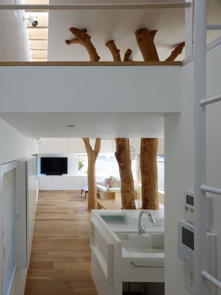 Garden Tree House / Hironaka Ogawa & Associates