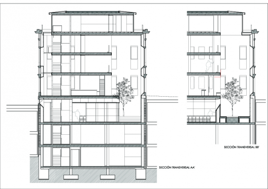 Section 01