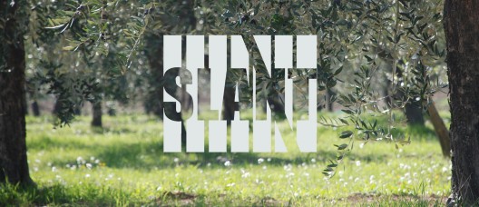 Courtesy of Slant Organization