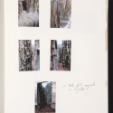 Vegetation Room Inhotim / Cristina Iglesias Sketch