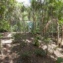 Vegetation Room Inhotim / Cristina Iglesias © Cristina Iglesias
