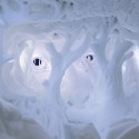 Inside Sweden's Latest ICEHOTEL Inside Sweden's Latest ICEHOTEL Bedtime Story - Artists: Wilfred Stijge & Edith van der Wetering © Paulina Holmgren